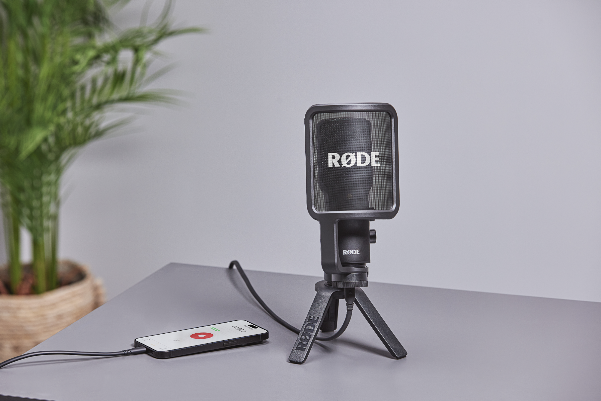 RØDE SC19-B  USB-C - Lightning átalakító kábel, 1.5m, kék-4