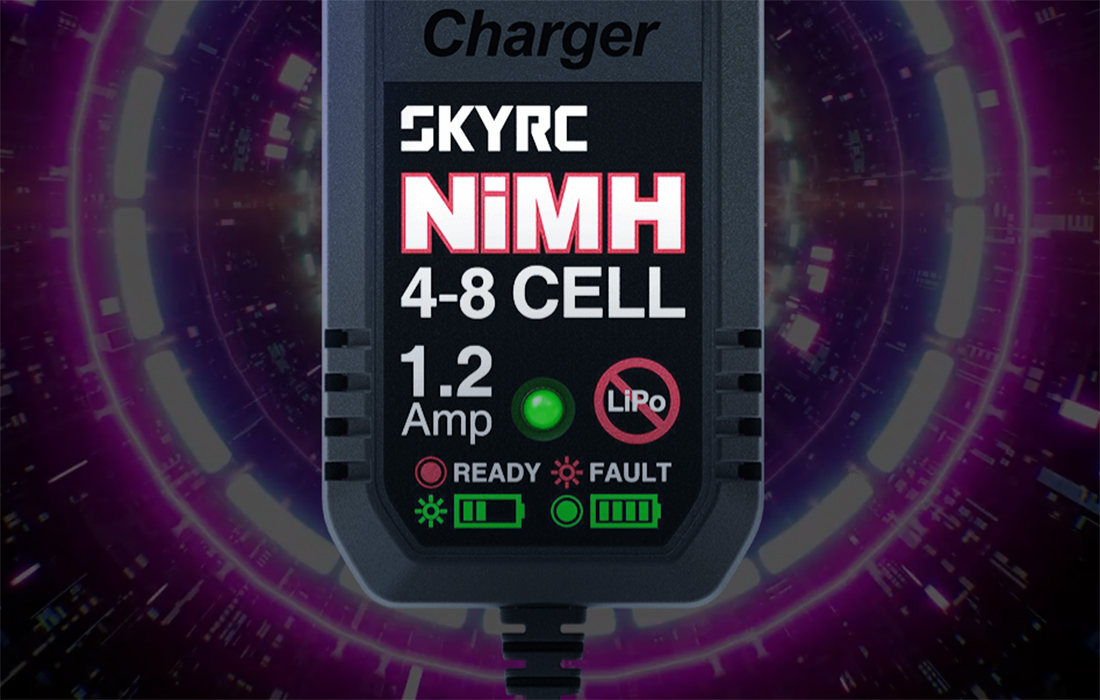 SkyRC eN18 NiMH töltő-5