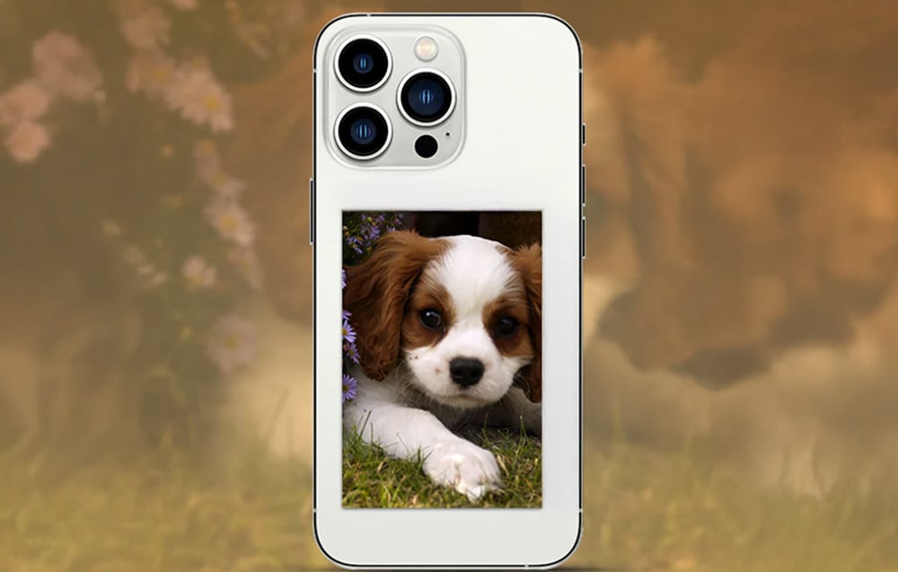 Liene Pearl fénykép papír 2x3