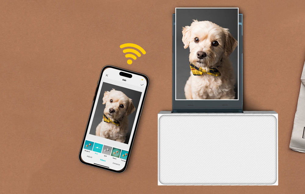 Liene Amber M100 4x6