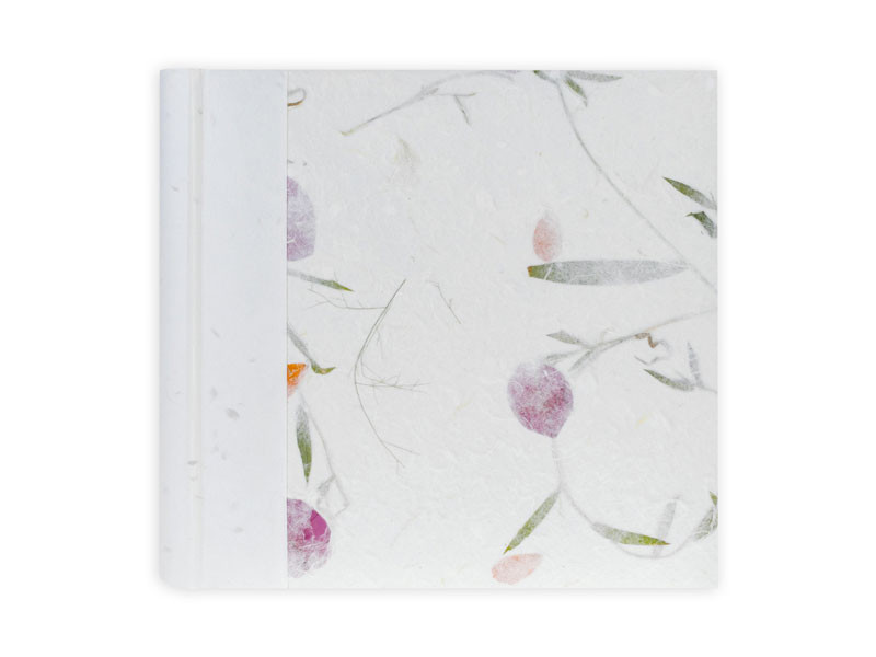 Zep Nepal 20/24x24 album-0