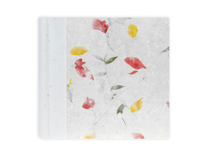 Zep Tibet 20/24x24 album-0