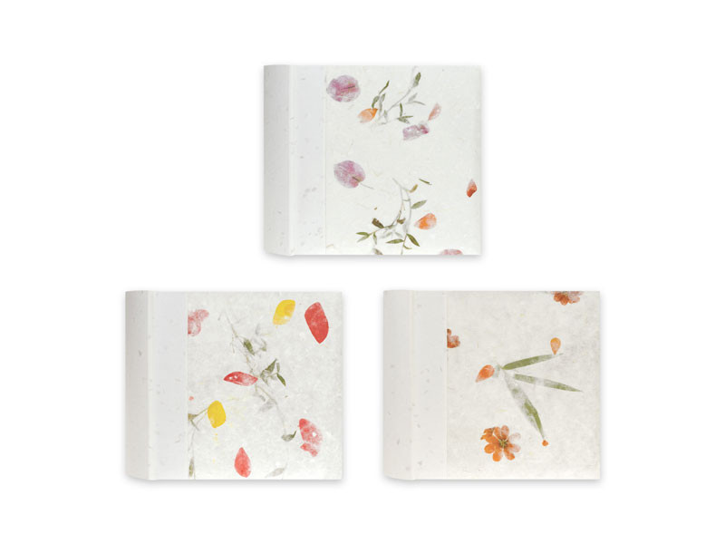 Zep Thai 200/10x15 album vegyes-0