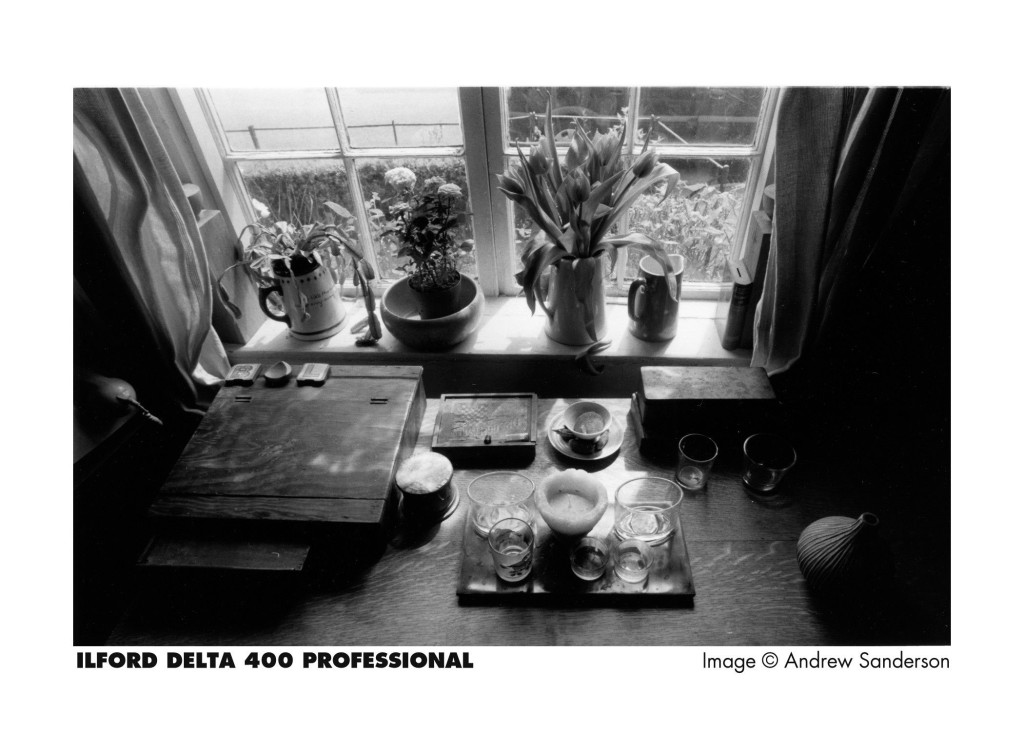 Ilford Delta 400 120 fekete-fehér negatív film-2