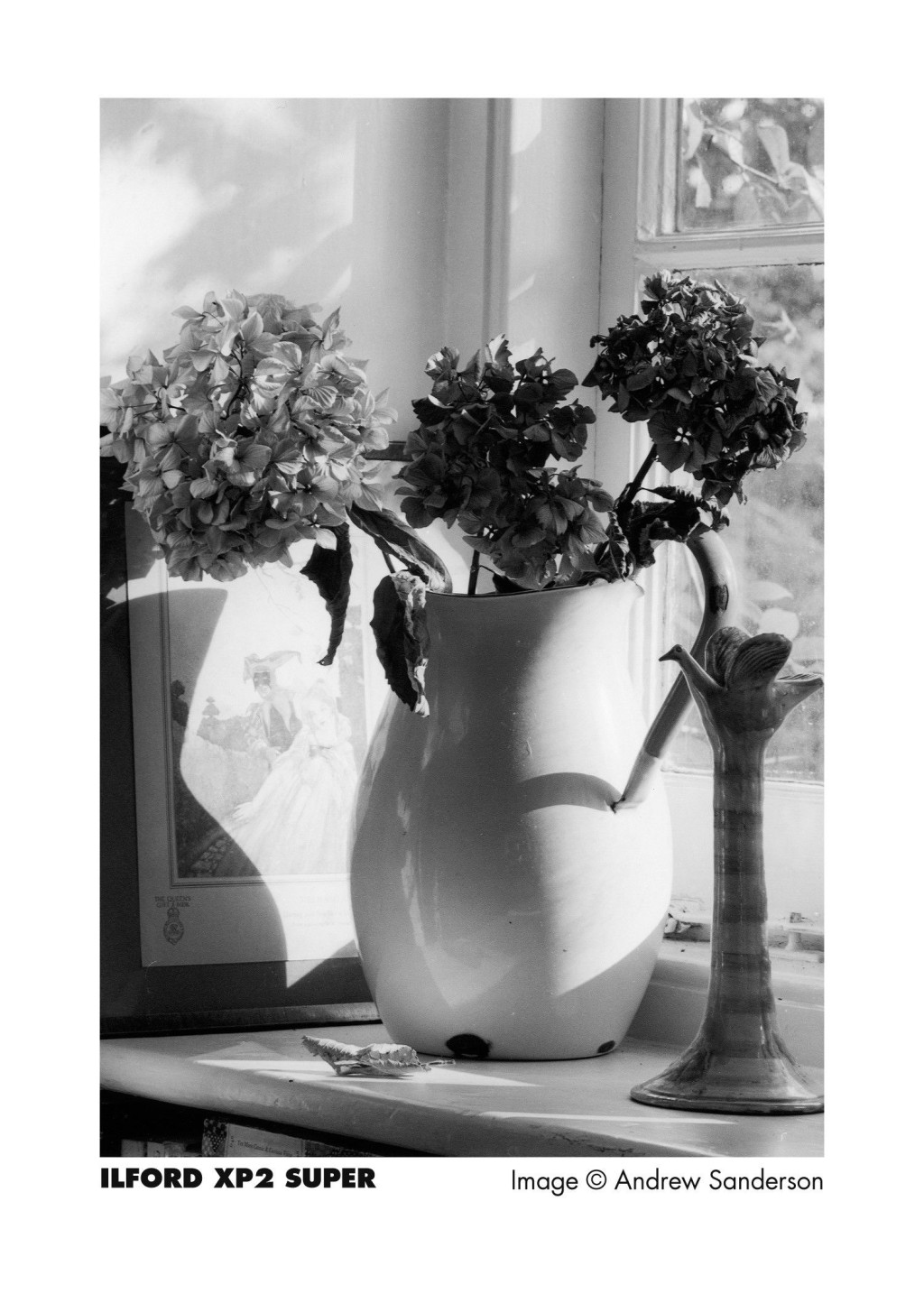 Ilford XP2 Super 400 135-36 fekete-fehér negatív film-1