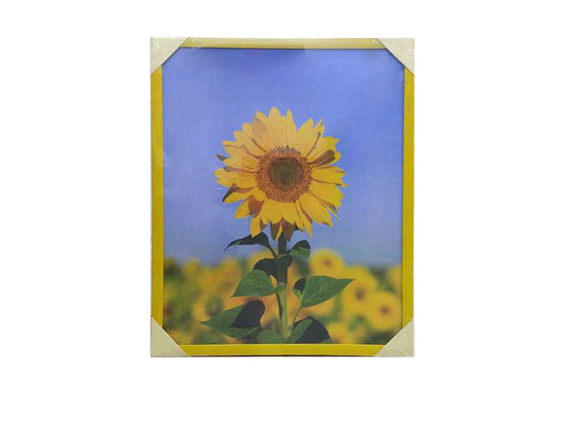 KLS Mylar falikép 40x50-2