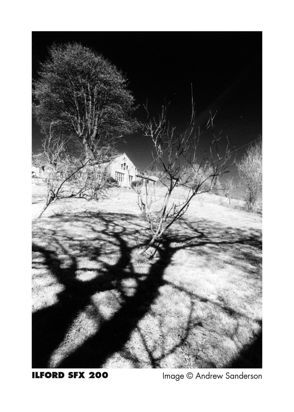 Ilford SFX 200 135-36-1