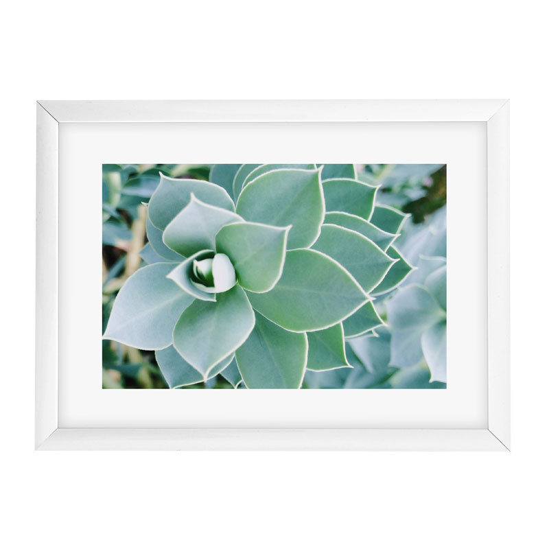 Goldbuch Your Gallery - Succulent műanyag képkeret 13x18-0