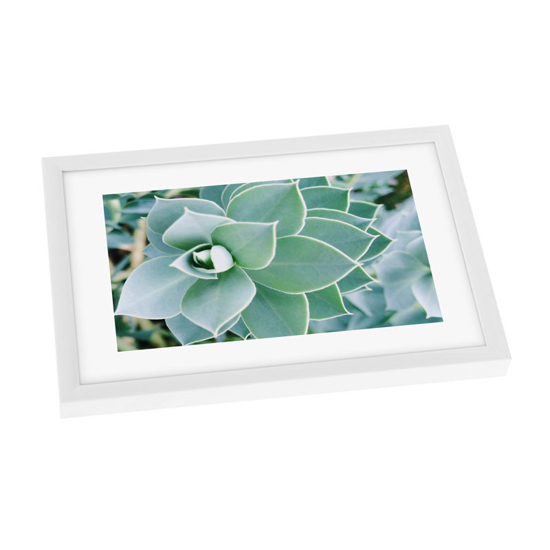 Goldbuch Your Gallery - Succulent műanyag képkeret 13x18-1