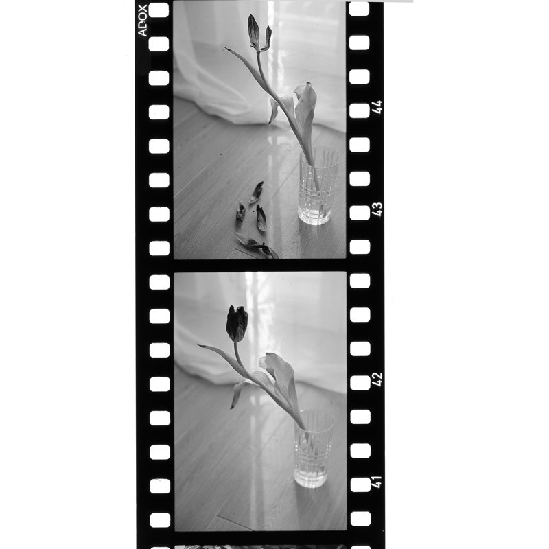Adox Scala 50 BW 135/36 Fekete-Fehér Direktpozitív Film-2