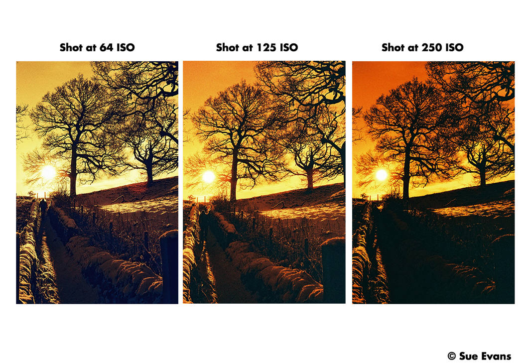 Harman Red ISO 125-36 Film-2