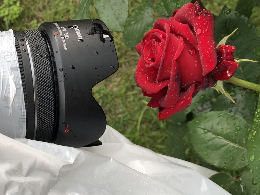Canon RF 24mm f/1,8 IS STM Macro objektív -15% az akciós árból a CANON15 kuponkóddal-3