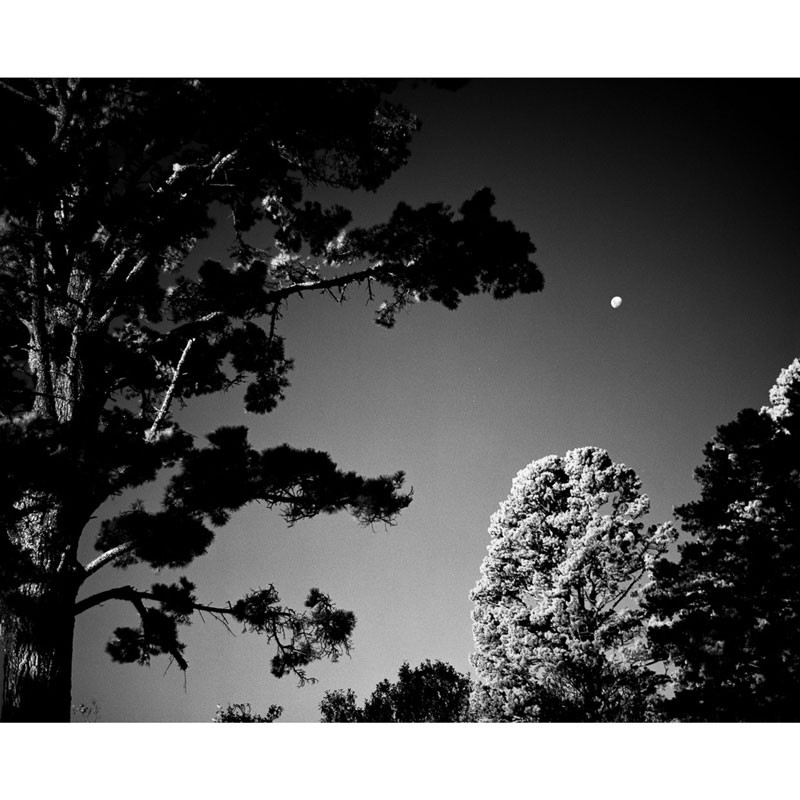 Rollei Infrared 10x12 cm fekete-fehér negatív síkfilm, 25 lapos csomag-2