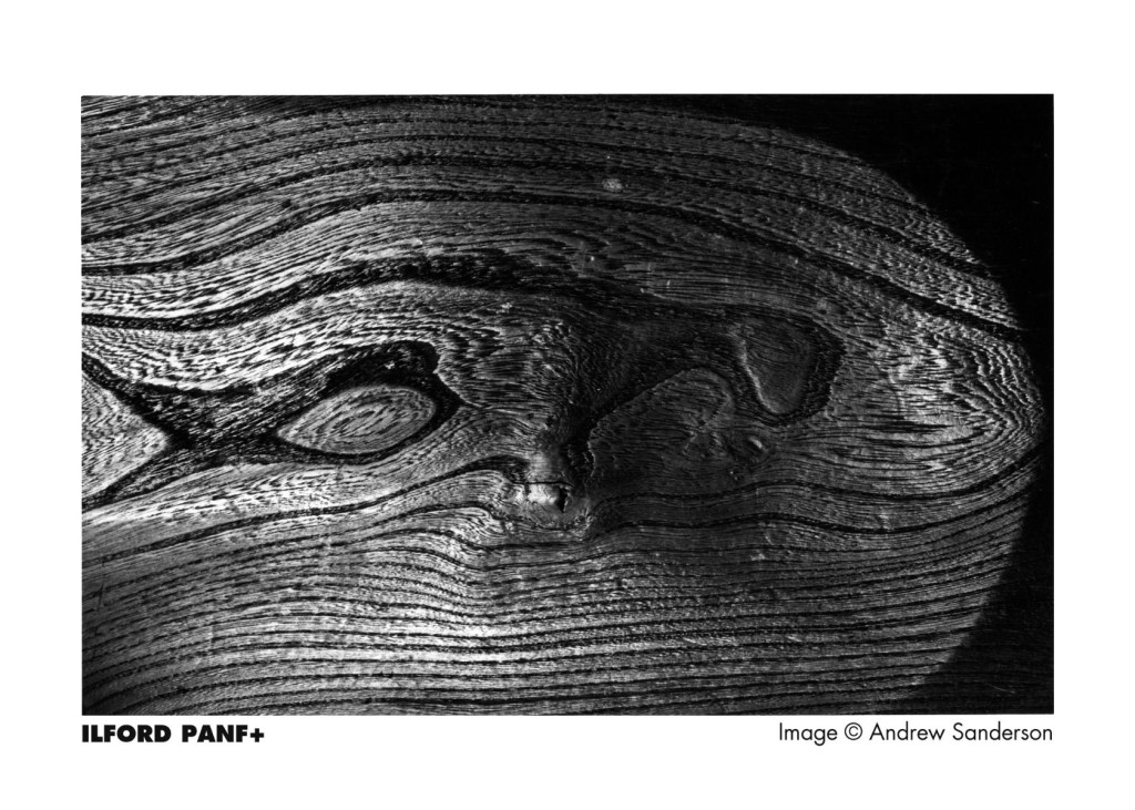 Ilford Pan F 120 fekete-fehér negatív film-2