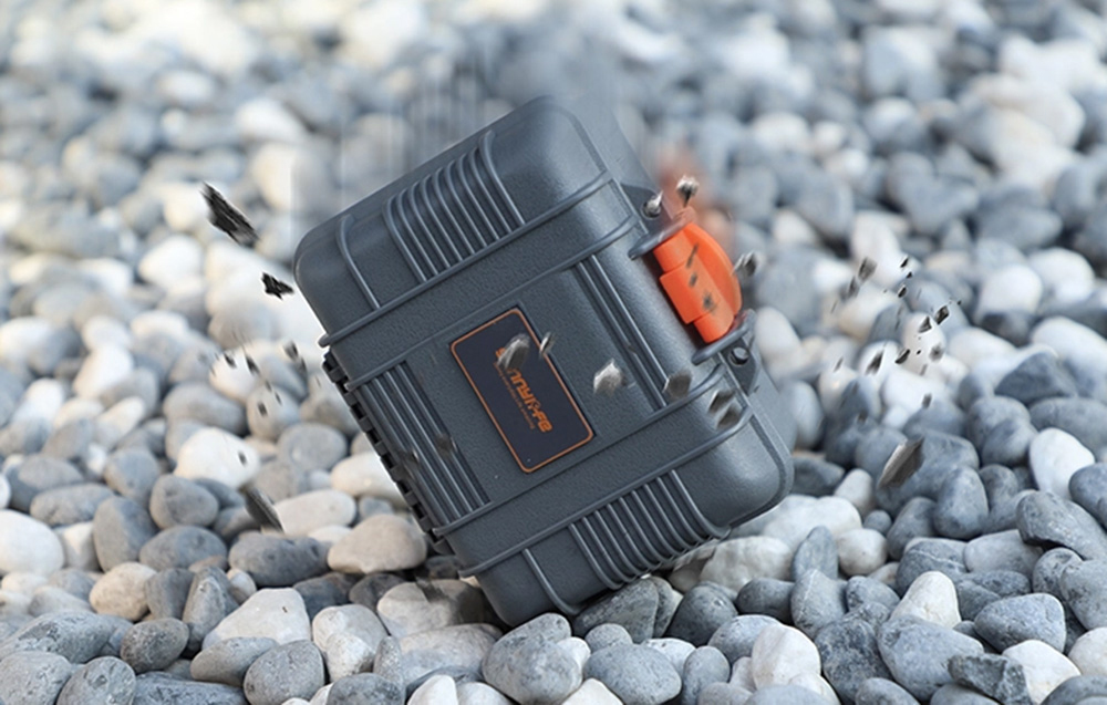 Sunnylife Mini Hard Case for Action 6-7
