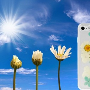 Vennus Flower szilikon tok iPhone XR Kamilla