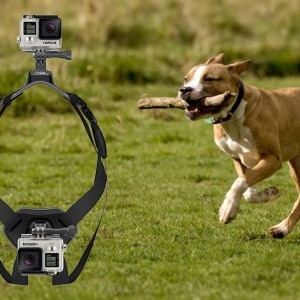 PULUZ kutyahám akciókamera tartóval (PU156)-2