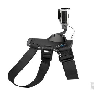 GoPro Fetch (dog harness) kutyahám