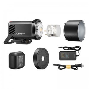 Godox Wistro AD600Pro II-4