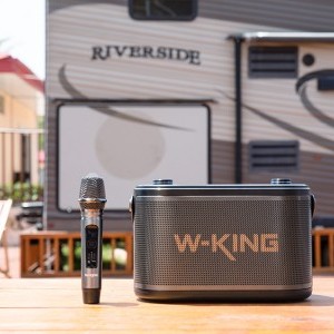 W-KING H10 120W Bluetooth Hangszóró (fekete)-4