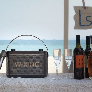W-KING H10 120W Bluetooth Hangszóró (fekete)-9