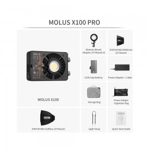 ZHIYUN LED MOLUS X100 COB LIGHT PRO-2