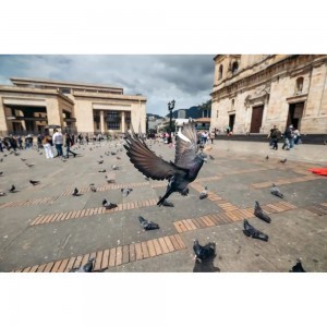 TAMRON TAMRON 16-30mm f/2.8 Di III RXD (Sony E)-5