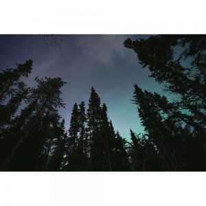 TAMRON TAMRON 16-30mm f/2.8 Di III RXD (Sony E)-6