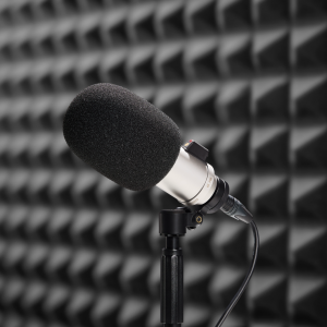 RØDE WS2 mikrofonszivacs nagymembrános stúdió mikrofonokhoz-1