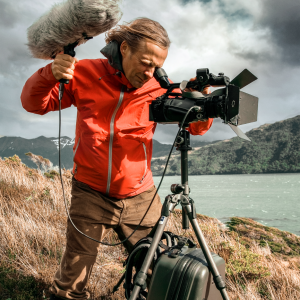 RØDE NTG4 professzionális puskamikrofon-5