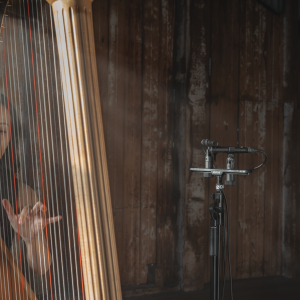 RØDE TF5-MP csúcskategóriás kardioid kondenzátor mikrofon, sztereo pár-5