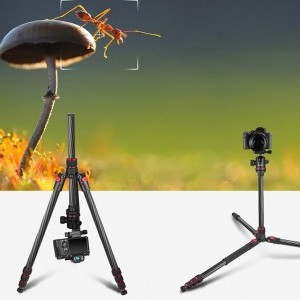 Neewer N55C tripod 168 cm-4
