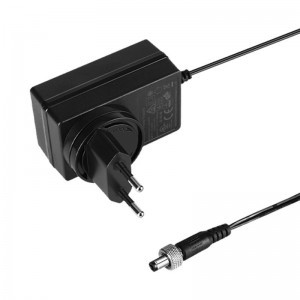 Hollyland 12V/2A DC2.1 Power Adapter for Mars Series + Cosmo C1