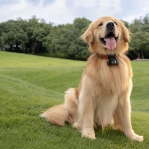 DJI Osmo Nano akciókamera (128GB)-3