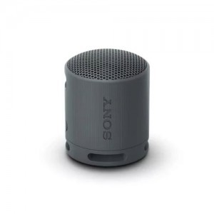 Sony SRS-XB100 Bluetooth Hangszóró Fekete EU