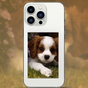 Liene Pearl fénykép papír 2x3