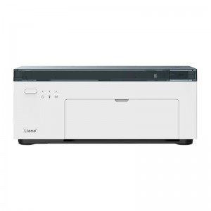 Liene Amber M100 4x6