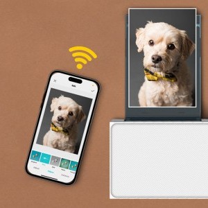 Liene Amber M100 4x6