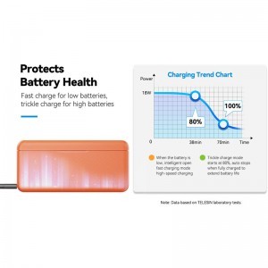 Smallrig 5922 Charging Case for Batteries for DJI Action 6-5