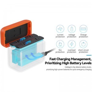 Smallrig 5923 Camera Battery Charger for Insta360 X5-4