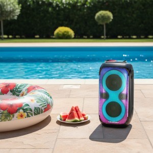 Blaupunkt PB60X-2