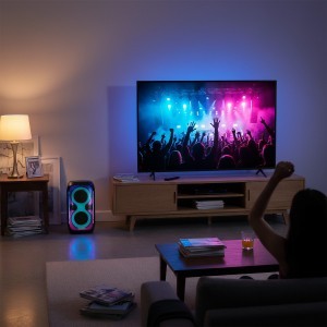 Blaupunkt PB60X-9