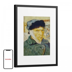 SwitchBot AI Art Frame 13,3