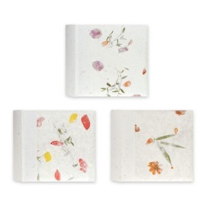 Zep Thai 200/10x15 album vegyes