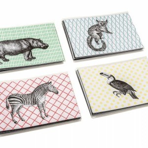 Walther Wild Thing 40/10x15 album