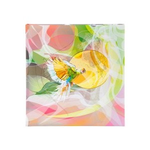 Goldbuch Design Papagáj fotóalbum - 60/30x31