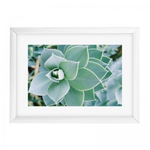 Goldbuch Your Gallery - Succulent műanyag képkeret 13x18
