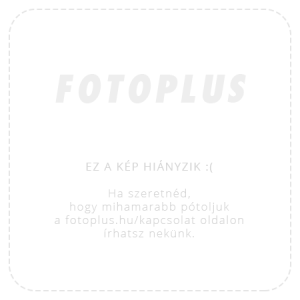 Insta360 Mic Pro vezeték nélküli mikrofon rendszer (1 TX + 1 RX)